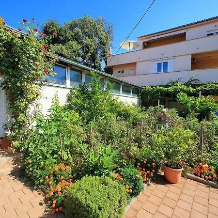 Apartment Sunny Bibinje